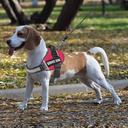Easy Fit Customizable Dog Vest for Safe Walking - Luxivelle