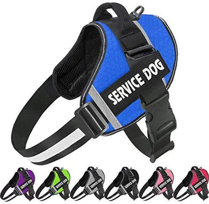 Customizable Adjustable Dog Vest for Night Walks