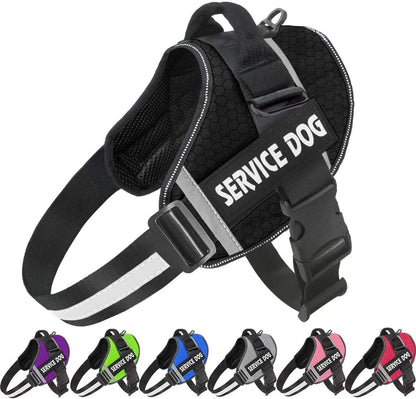 Customizable Adjustable Dog Vest for Night Walks