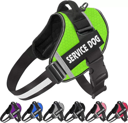 Customizable Adjustable Dog Vest for Night Walks