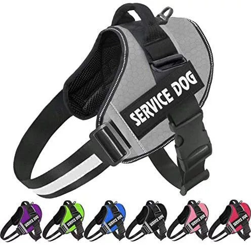 Customizable Adjustable Dog Vest for Night Walks