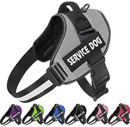 Easy Fit Customizable Dog Vest for Safe Walking