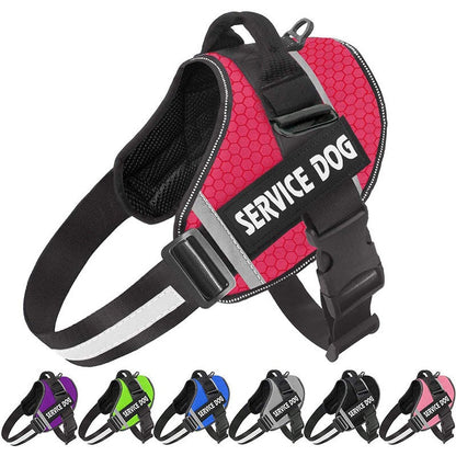 Customizable Adjustable Dog Vest for Night Walks