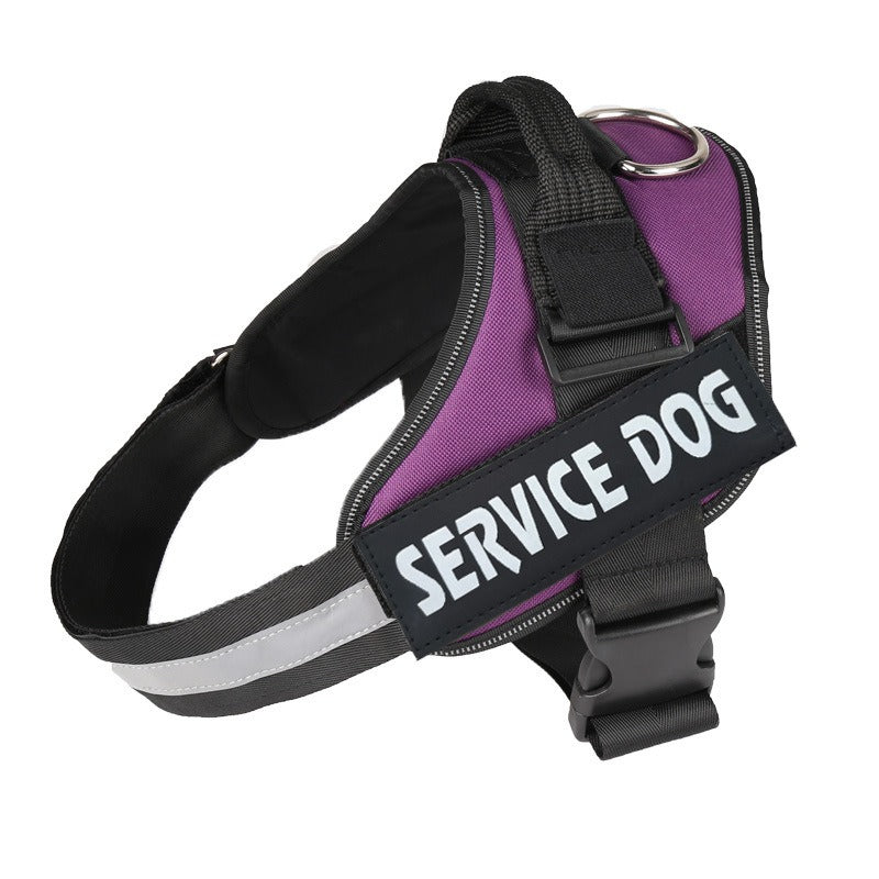 Customizable Adjustable Dog Vest for Night Walks