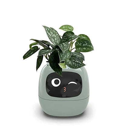 "Interactive AI Plant Pot with sleek design, smart care features, and over 70 visual expressions, perfect for tech-savvy plan