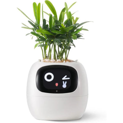 Smart Self Watering Planter with Animated Face - Luxivelle