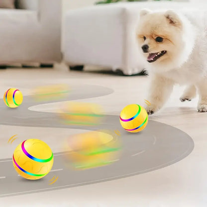 Fun Pet Ball Toy - Colorful and Entertaining - Luxivelle