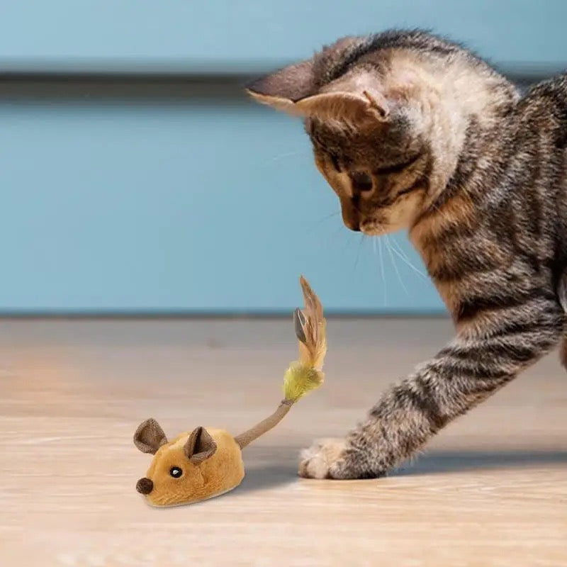 Fun Electronic Mouse Cat Toy - Luxivelle