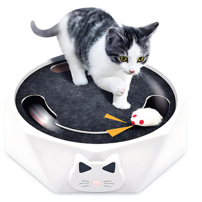 Fun Cat Toy with Scratcher and Bed - Luxivelle