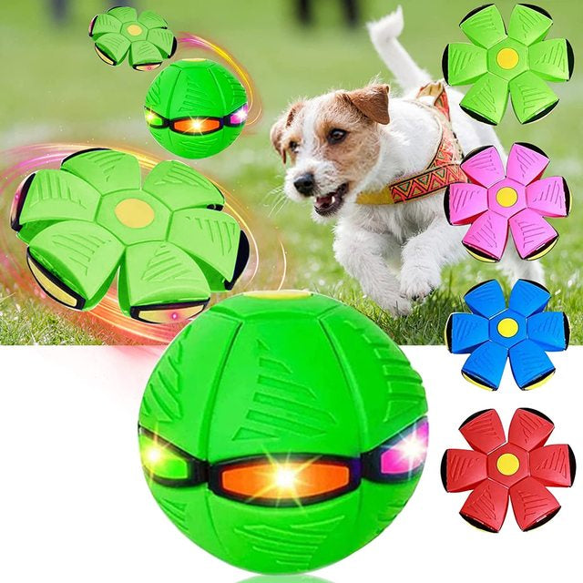 Fun Dog Flying Disc Toy - Luxivelle