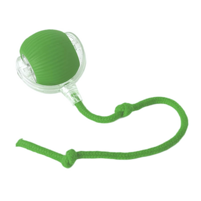 Interactive dog toy with USB-C charging, mimics critter movements, durable ABS. Available in red, grey, and green colors.