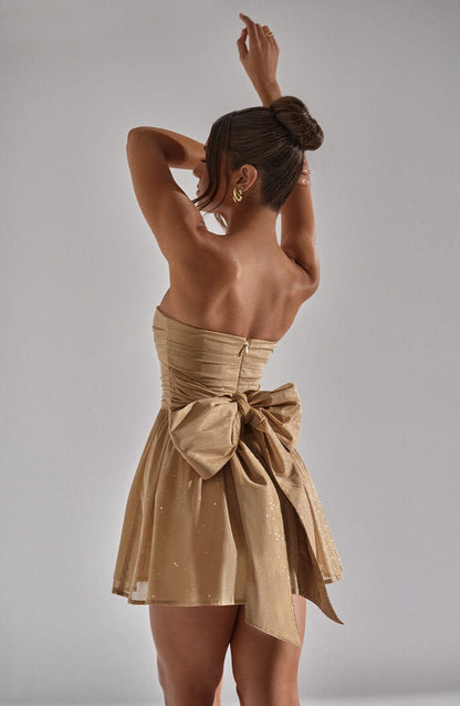 Shining Maya Evening Dress