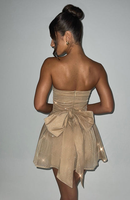 Shining Maya Evening Dress