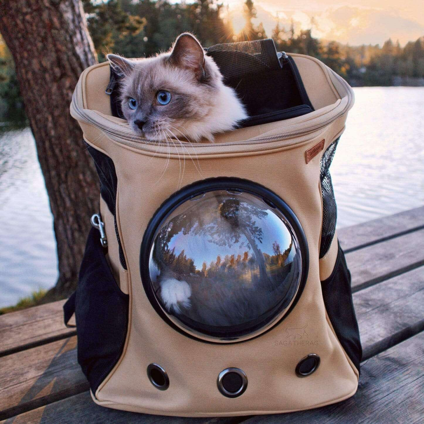 Spacious Pet Carrier Backpack with Viewing Window - Luxivelle