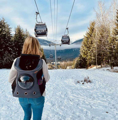 "Large cat travel backpack with bubble window, spacious with a panoramic view, mesh openings for comfort and security."
