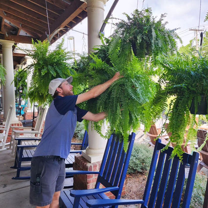 Lifelike, vibrant artificial Boston fern, UV-resistant, 18 lush branches, perfect for outdoor decor, low maintenance garden p
