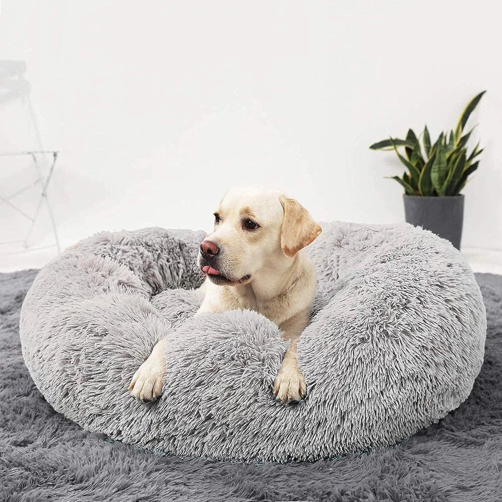 Plush Orthopedic Dog Mattresses for All Breeds - Luxivelle