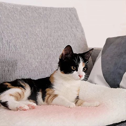 Cozy Warm Cat Bed Mat - Luxivelle
