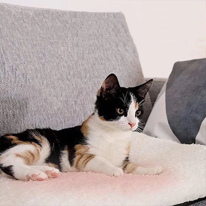 Cozy Warm Cat Bed Mat - Luxivelle