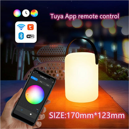 Rechargeable Battery Powered Outdoor Table Lamp