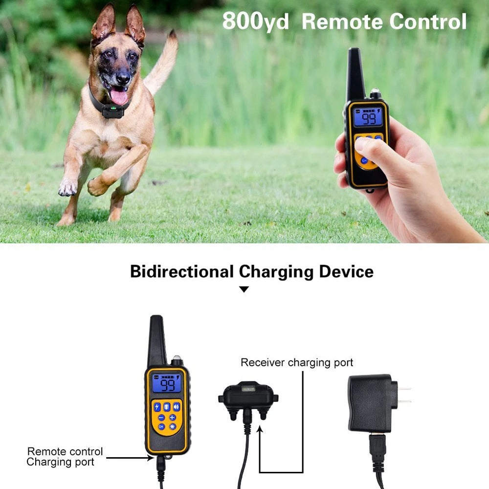 Waterproof Remote Dog Training Collar with Long Range Control