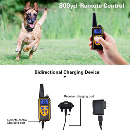 Waterproof Remote Dog Training Collar with Long Range Control
