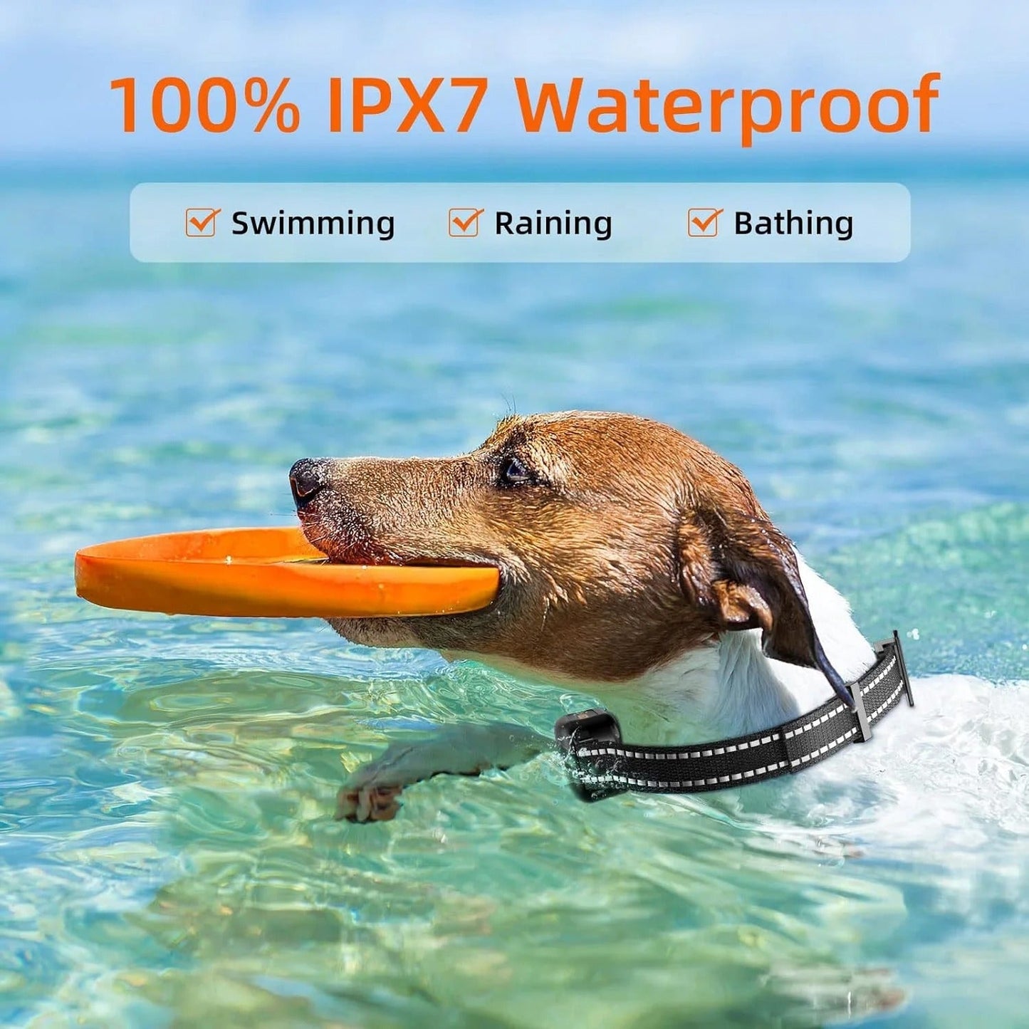 Durable Rechargeable 1000m Pet Training Collar