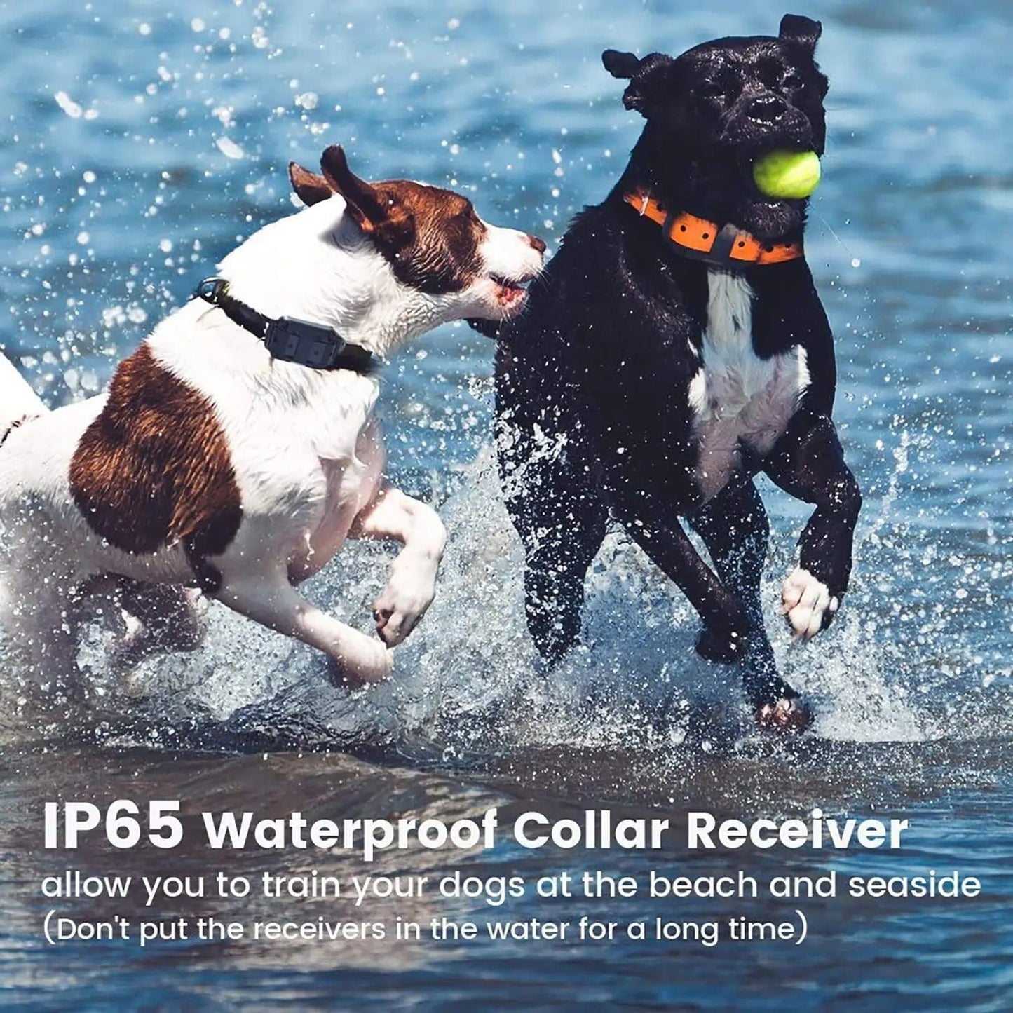 Waterproof Remote Dog Training Collar with Long Range Control