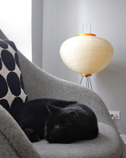 "Minimalist rice paper floor lamp with sleek metal frame and soft diffused light, perfect for creating a warm ambiance."