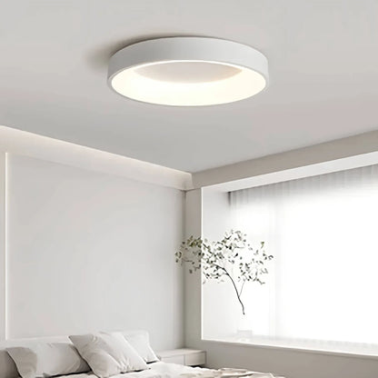 Stylish Nordic LED Ceiling Lamp