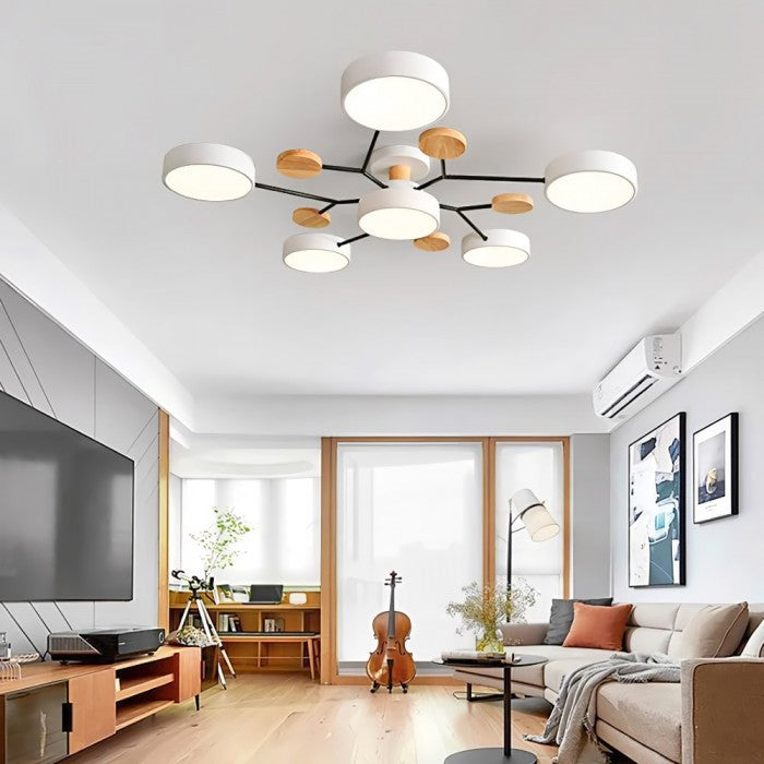 Unique LED Ceiling Lamp For Modern Homes