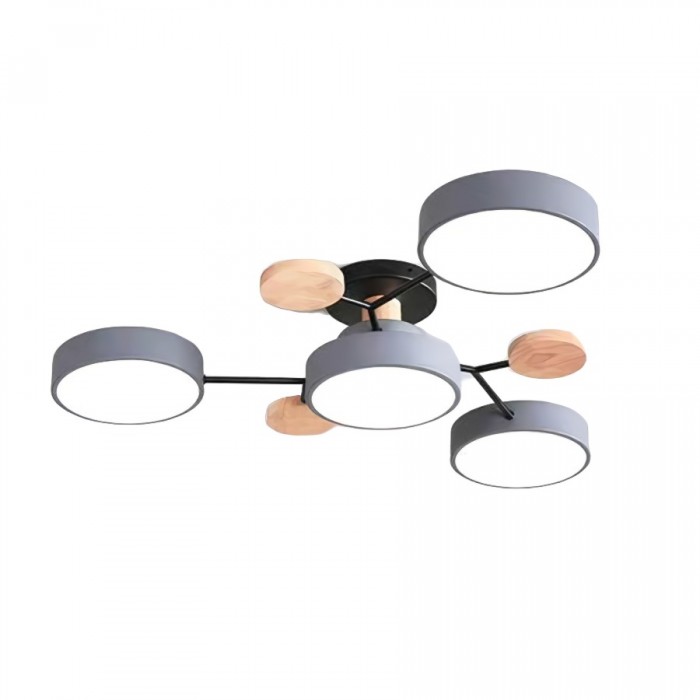 Unique LED Ceiling Lamp For Modern Homes