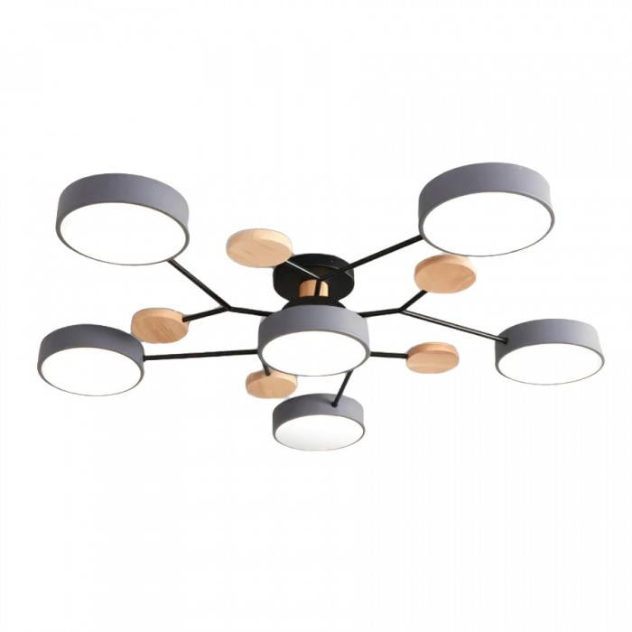Unique LED Ceiling Lamp For Modern Homes