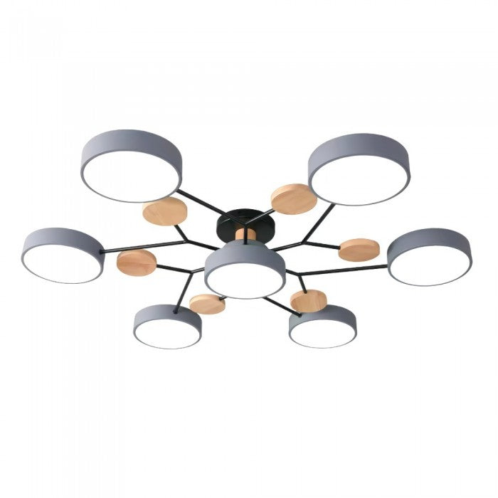 Unique LED Ceiling Lamp For Modern Homes