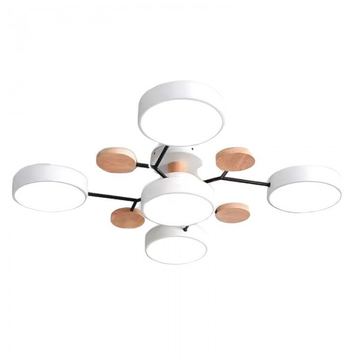 Unique LED Ceiling Lamp For Modern Homes