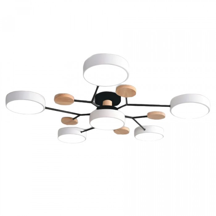 Unique LED Ceiling Lamp For Modern Homes