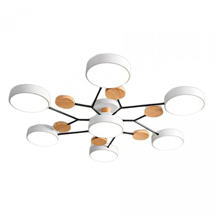 Unique LED Ceiling Lamp For Modern Homes