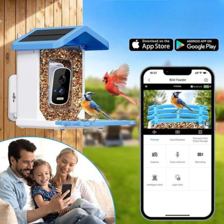Wireless Solar Powered Bird Feeder Camera with HD Video - Luxivelle