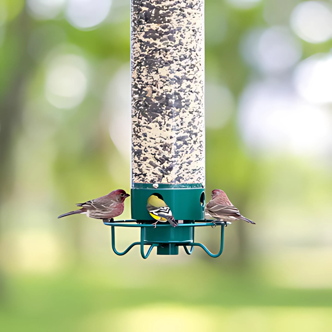 Wildlife Proof Bird Feeder with Rotating Tray - Luxivelle