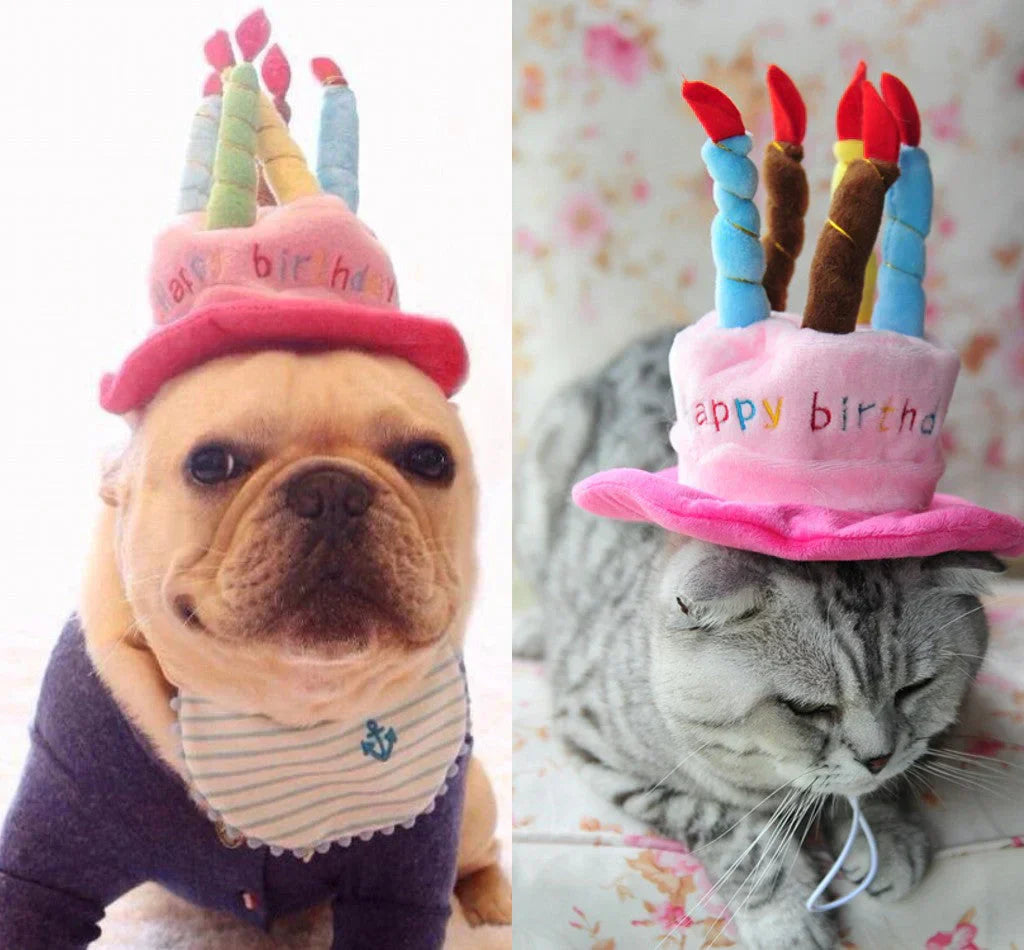 Fun Pet Party Cake Hat for Cats and Dogs - Luxivelle