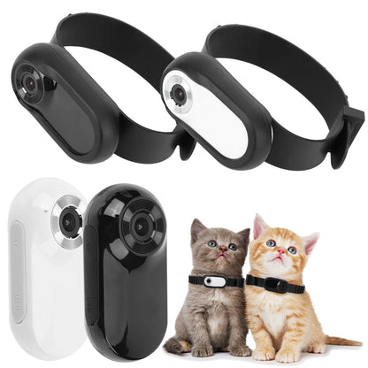 HD Pet Cam Collar for Cats and Dogs - Luxivelle