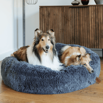 "Plush apricot donut dog bed, anxiety-relieving, round with raised rim, faux fur, for dogs to curl up comfortably."