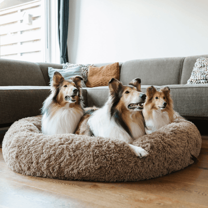 "Plush apricot donut dog bed, anxiety-relieving, round with raised rim, faux fur, for dogs to curl up comfortably."