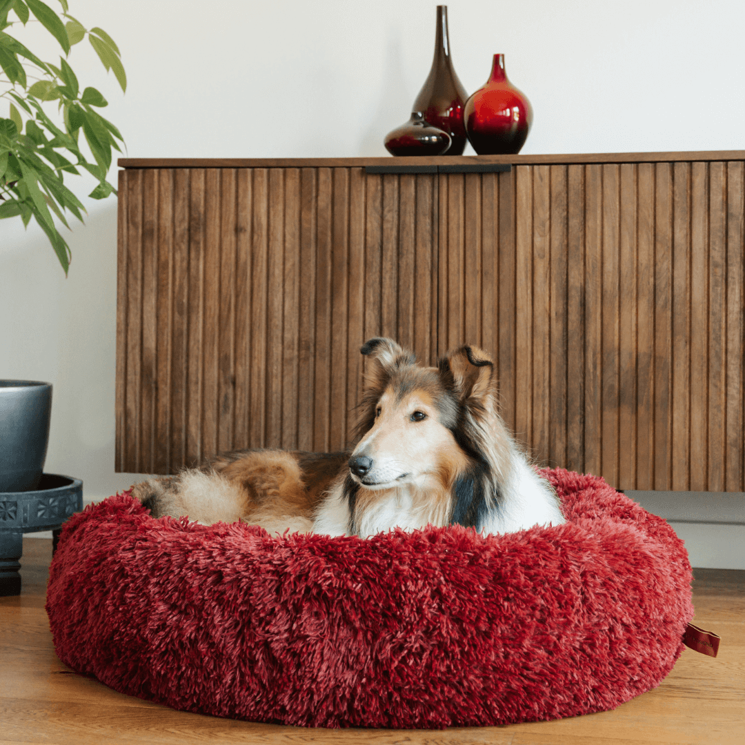 "Plush apricot donut dog bed, anxiety-relieving, round with raised rim, faux fur, for dogs to curl up comfortably."