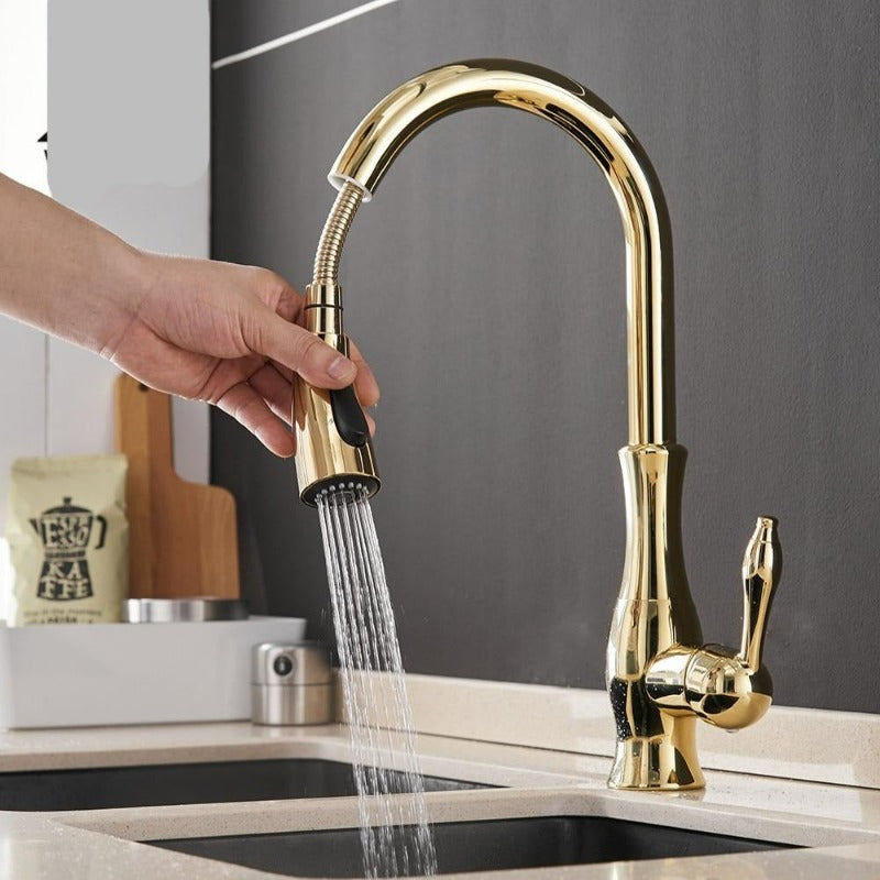 Stylish 360° Rotating Kitchen Faucet with Extendable Spray Nozzle