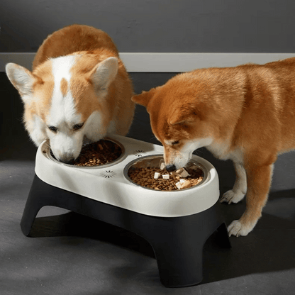 "Raised dog feeding station with sleek stainless steel bowls on a stable, non-slip base for mess-free, stylish dining."