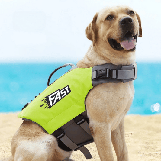 Waterproof Pet Vest for Safe Dog Swimming - Luxivelle