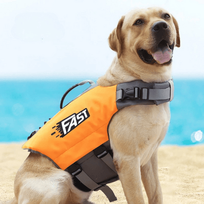 Reflective adjustable dog life jacket with buoyant support, high visibility colors, and emergency handle for water safety.