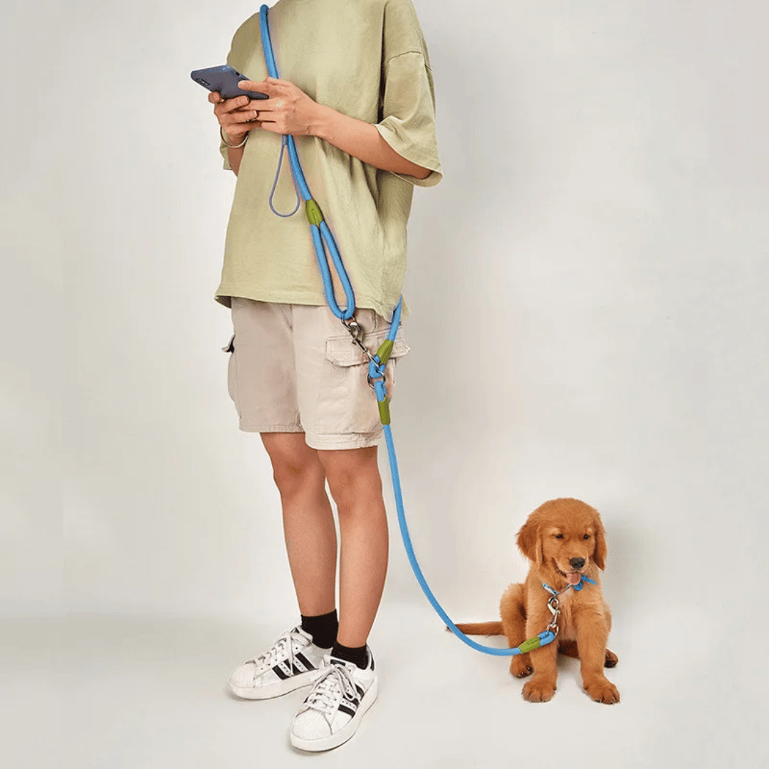 Elastic Handsfree Dog Lead for Jogging & Big Breeds - Luxivelle