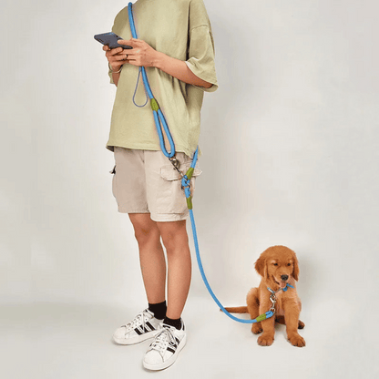 Elastic Handsfree Dog Lead for Jogging & Big Breeds - Luxivelle